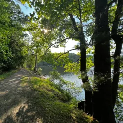 Little Beaver State Park - Beckley