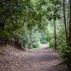 Little Beaver State Park - Beckley