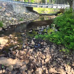 Little Beaver State Park - Beckley
