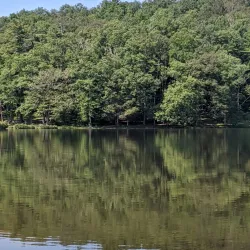 Little Beaver State Park - Beckley