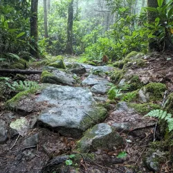 Little Beaver State Park - Beckley