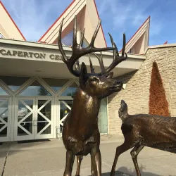 Tamarack: The Best of West Virginia - Beckley