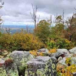Appalachian Trail (Nearby Access) - Charles Town