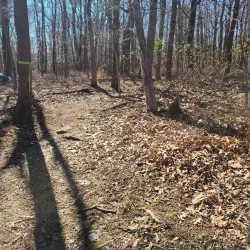 Appalachian Trail (Nearby Access) - Charles Town