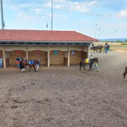 Charles Town Races & Slots - Charles Town