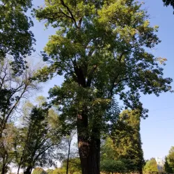 Morgan's Grove Park - Charles Town