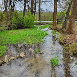Morgan's Grove Park - Charles Town