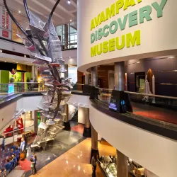 Avampato Discovery Museum - Charleston