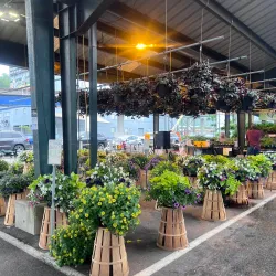 Capitol Market - Charleston