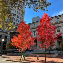 East End Historic District - Charleston