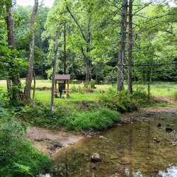 Kanawha State Forest - Charleston