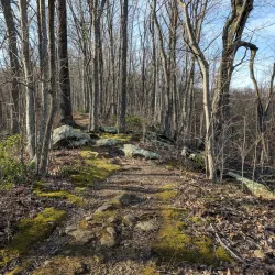 Kanawha State Forest - Charleston