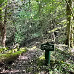 Kanawha State Forest - Charleston