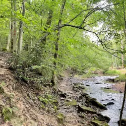 Kanawha State Forest - Charleston