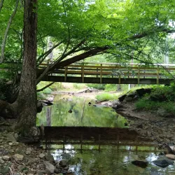 Kanawha State Forest - Charleston