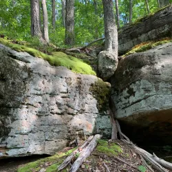 Kanawha State Forest - Charleston