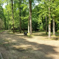 Kanawha State Forest - Charleston