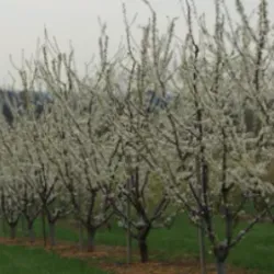 Martinsburg-Berkeley County Convention and Visitors Center - Martinsburg