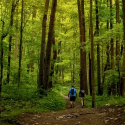 Coopers Rock State Forest - Morgantown