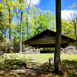 Coopers Rock State Forest - Morgantown