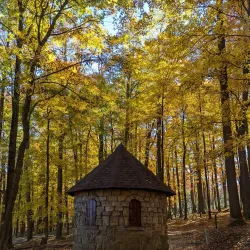 Coopers Rock State Forest - Morgantown