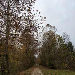 Monongahela Riverwalk - Morgantown