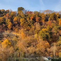 Monongahela Riverwalk - Morgantown