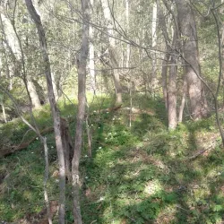 Monongahela Riverwalk - Morgantown