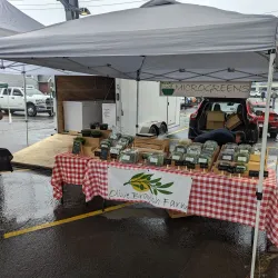 Morgantown Farmers Market - Morgantown