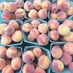 Morgantown Farmers Market - Morgantown