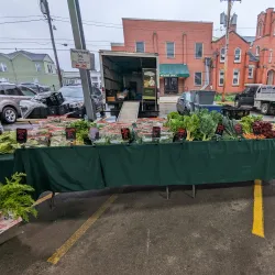 Morgantown Farmers Market - Morgantown