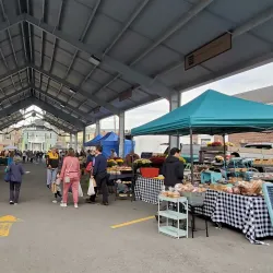 Morgantown Farmers Market - Morgantown