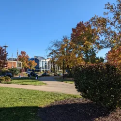 West Virginia University - Morgantown