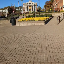 West Virginia University - Morgantown