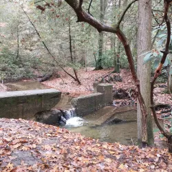 WV Botanic Garden - Morgantown