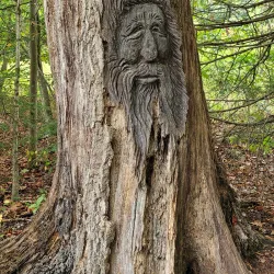 WV Botanic Garden - Morgantown