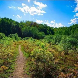 WV Botanic Garden - Morgantown
