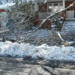 East River Park - Princeton