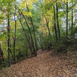 Princeton Community Park - Princeton