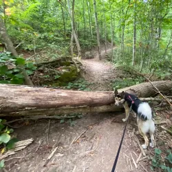 Princeton Community Park - Princeton