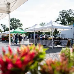 Princeton Farmers Market - Princeton