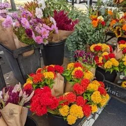 Princeton Farmers Market - Princeton