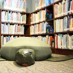 Princeton Public Library - Princeton