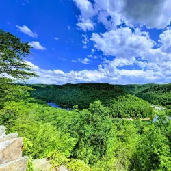 Carnifex Ferry Battlefield State Park - Summersville