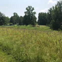 Carnifex Ferry Battlefield State Park - Summersville