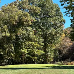 Summersville Golf Course - Summersville