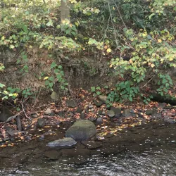 Ohio River Trail - Weirton