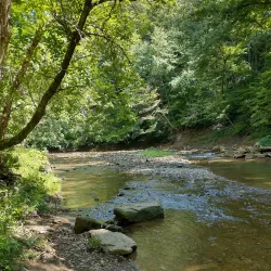 Weirton Community Park - Weirton