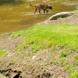 Weirton Community Park - Weirton