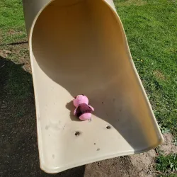 Weirton Community Park - Weirton